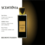 Belmont Passion Impression of Lacoste White